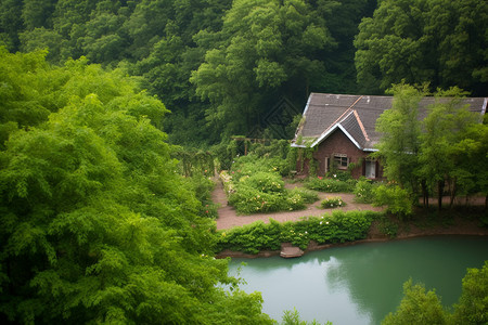 湖边树木小屋图片