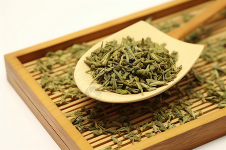 新鲜绿茶新鲜的茶叶背景