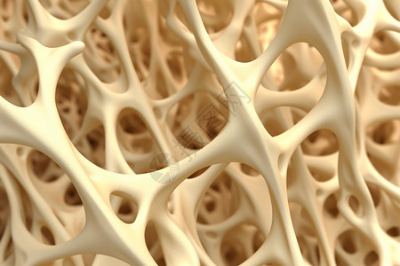平静的海绵解剖学骨质疏松创意概念图设计图片