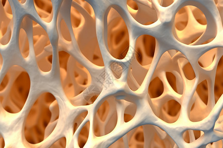 柔软海绵骨质疏松概念图设计图片