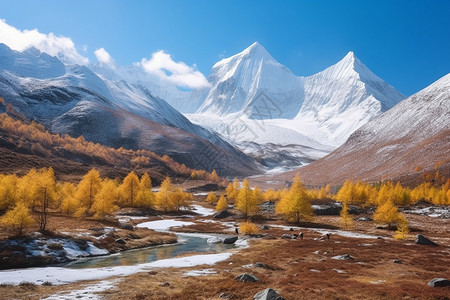 稻城亚丁的自然景观图片