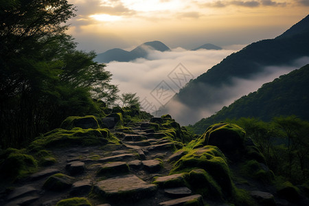 清晨山峰的云海景观图片