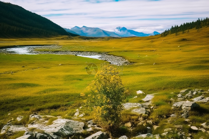 壮观的山谷景色图片