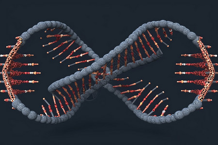 dna螺旋模型背景图片