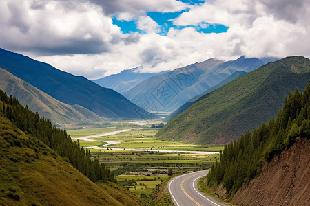 公路森林风景图片