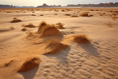 荒芜的沙漠地貌图片