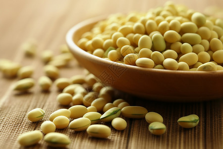 黄豆豆制品背景图片