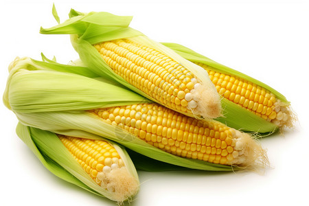 素食主义毛笔字新鲜的玉米背景