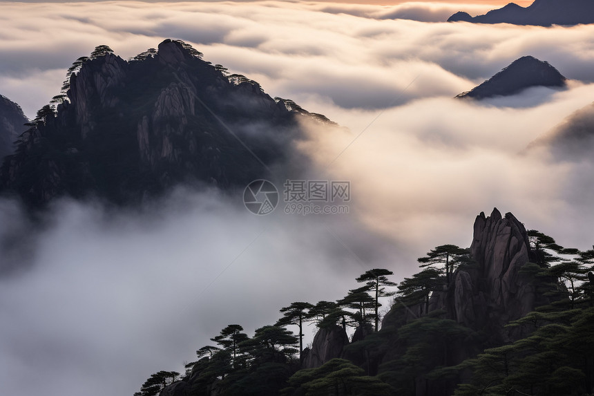 长满松树的大山图片