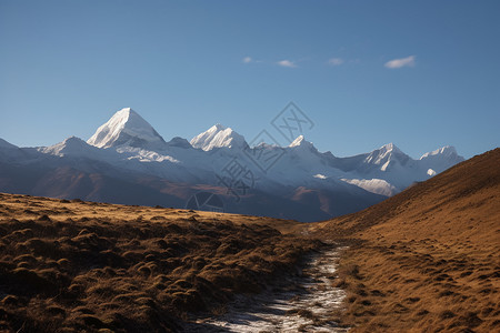 拉姆绍广阔的田野背景