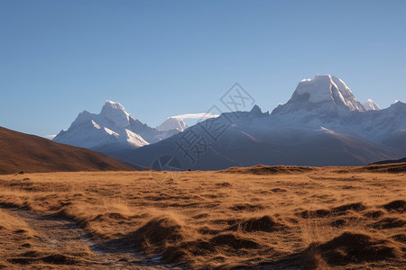 拉姆绍美丽的田野背景