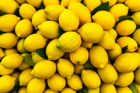 成熟的柠檬背景图片