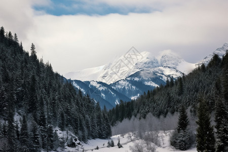 伍兹雪山背景图片