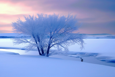 冰挂雪地里的一棵树背景