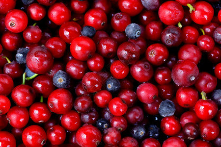 蔓越莓蓝莓红色的浆果背景