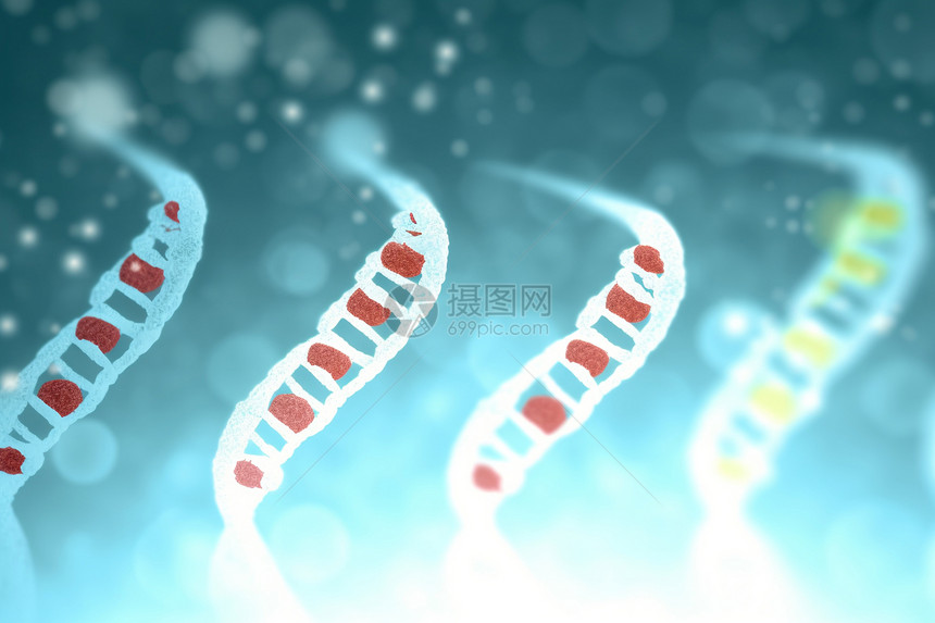 DNA的可视化图片