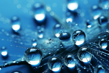 透明的水滴背景图片