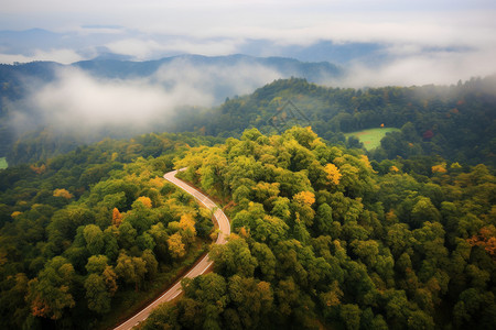 山脉中的树木和道路背景图片