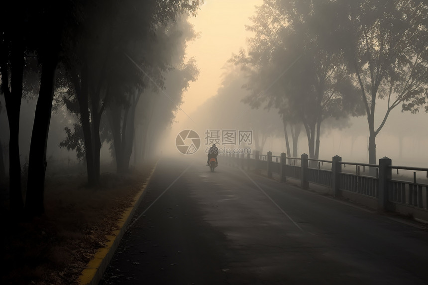 道路上骑车的人图片