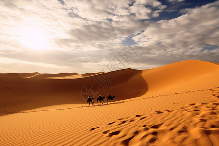 缺水的炎热沙漠图片
