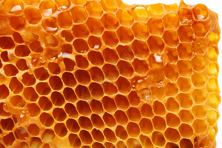 蜂胶上有很多蜂蜜背景图片