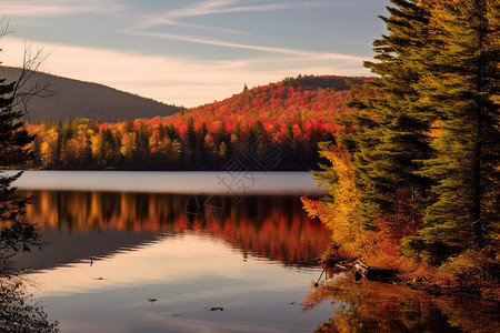 秋天的湖泊树林图片