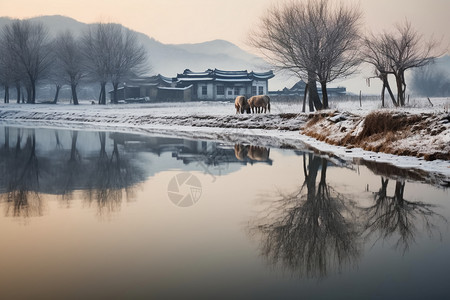 冬季湖景雪后的湖景背景