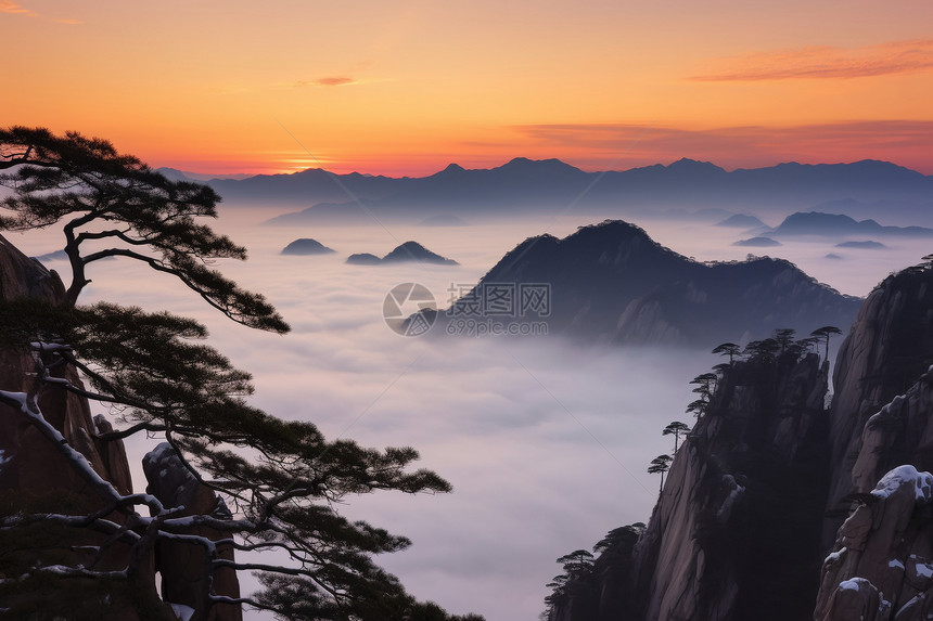 云海山峦日出松树图片