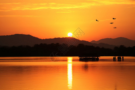 日落下的湖泊飞鸟图片
