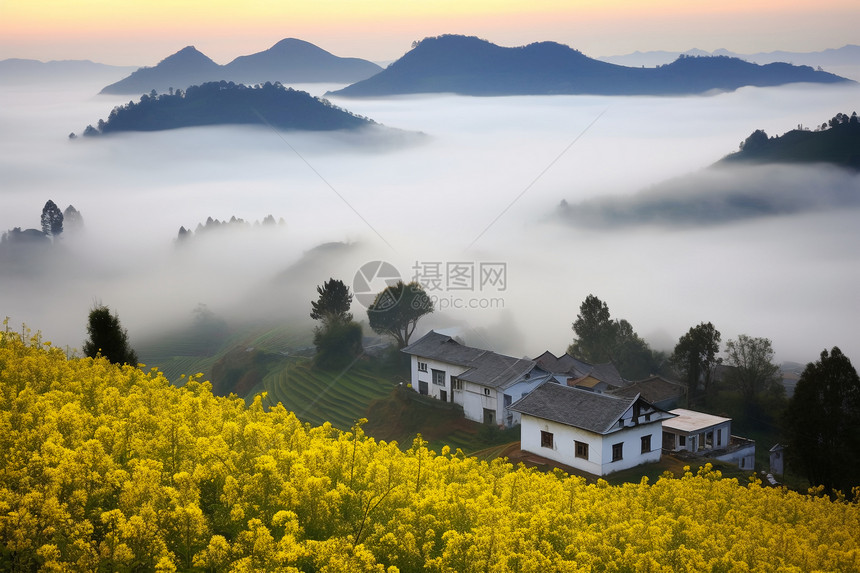 乡村的美丽景色