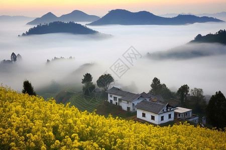 乡村景色乡村的美丽景色设计图片