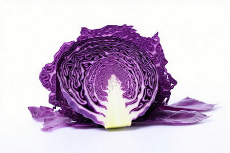 紫色卷心菜背景图片