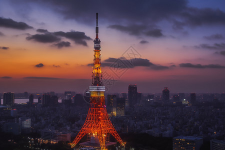 城市景观塔楼夜景图片