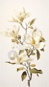 金色白玉兰背景图片