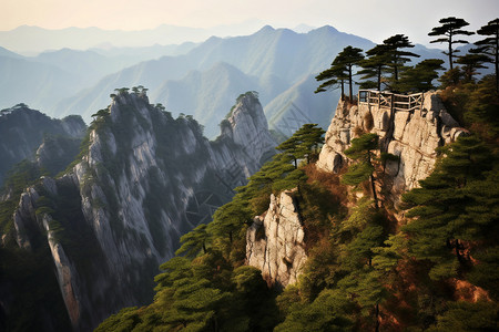 天柱山岩石植物的自然景观背景图片
