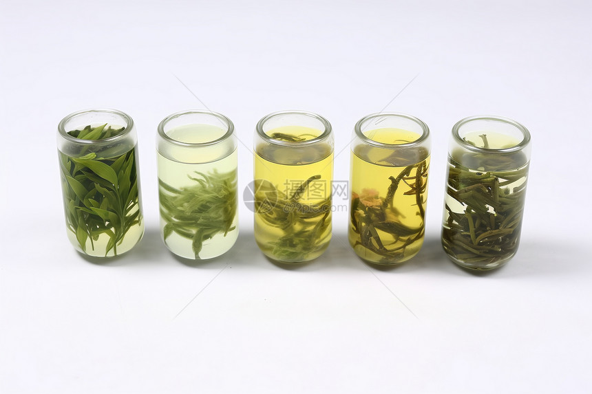 白色背景上的不同茶叶种类图片