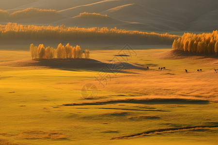内蒙古乌兰布通草原的美丽景色图片