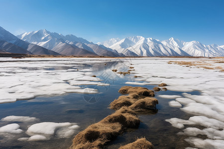 南疆冰雪风光背景图片