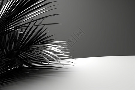 黑白树叶背景背景图片