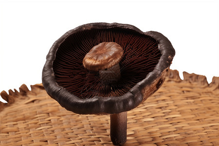 竹筐里的蘑菇图片