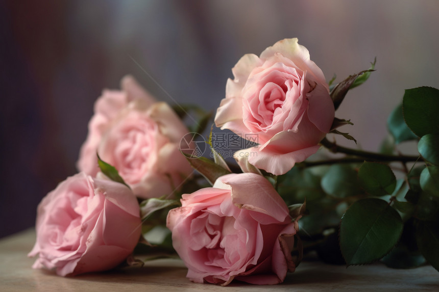 一束盛开的玫瑰花图片