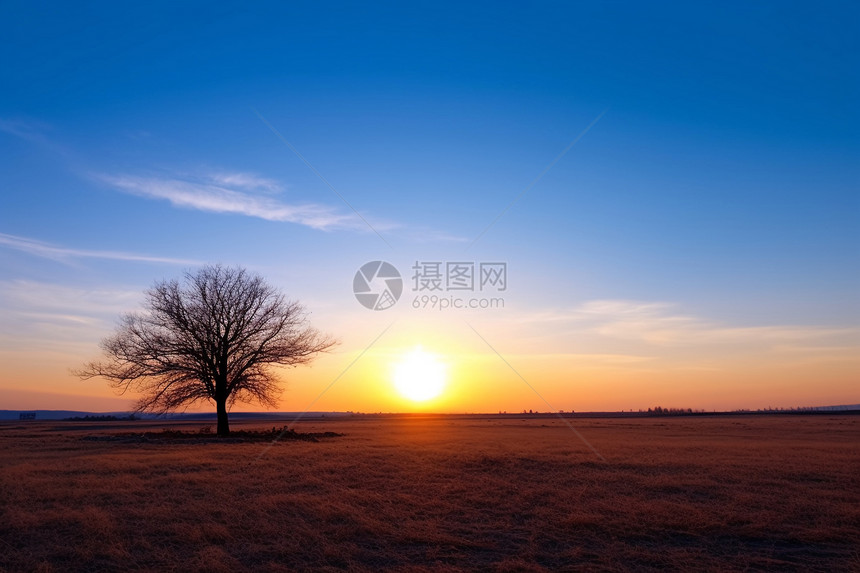 日落下的荒野草原图片
