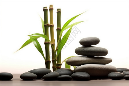 竹子和石头图片
