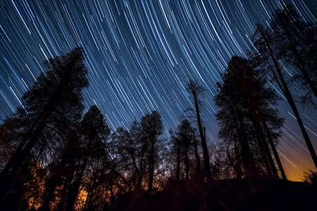 山区夜景山区森林的星空设计图片