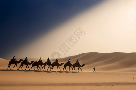 沙漠骆驼旅游铭沙山高清图片