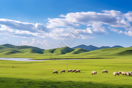 草原春天内蒙古坝上草原背景