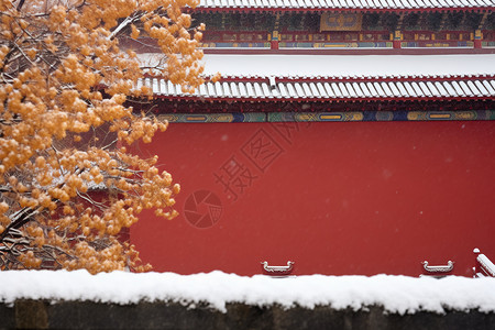 落满雪花的红墙高清图片