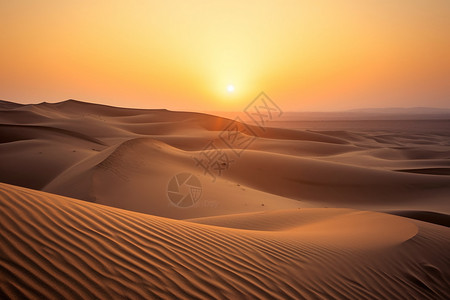 日出下的沙漠图片