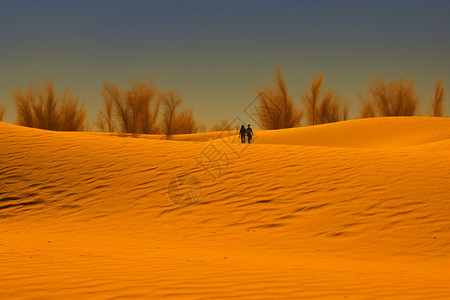苍凉的沙漠背景图片