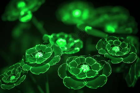 美丽的绿色发光的花朵图片